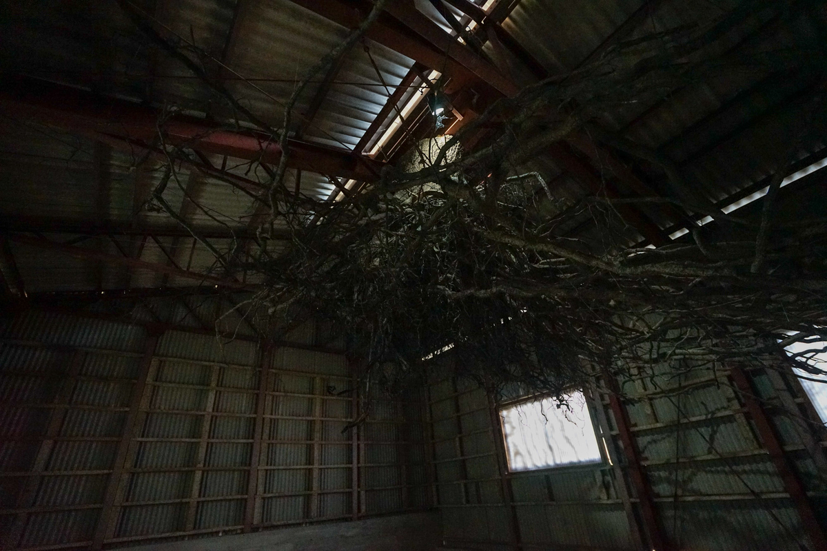 f:id:tamura38:20191022134517j:plain