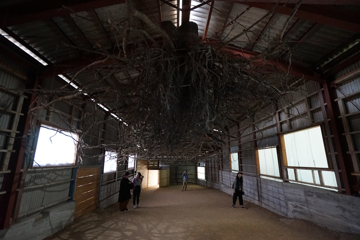 f:id:tamura38:20191022134534j:plain