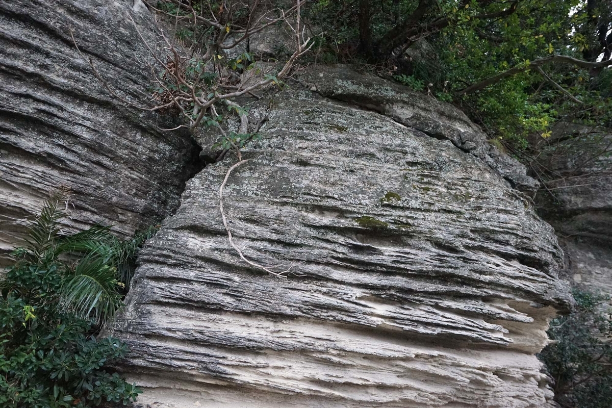 f:id:tamura38:20191109163913j:plain