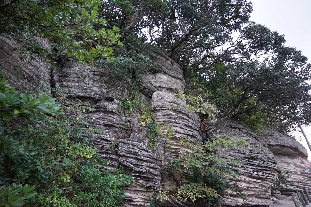 f:id:tamura38:20191109164039j:plain