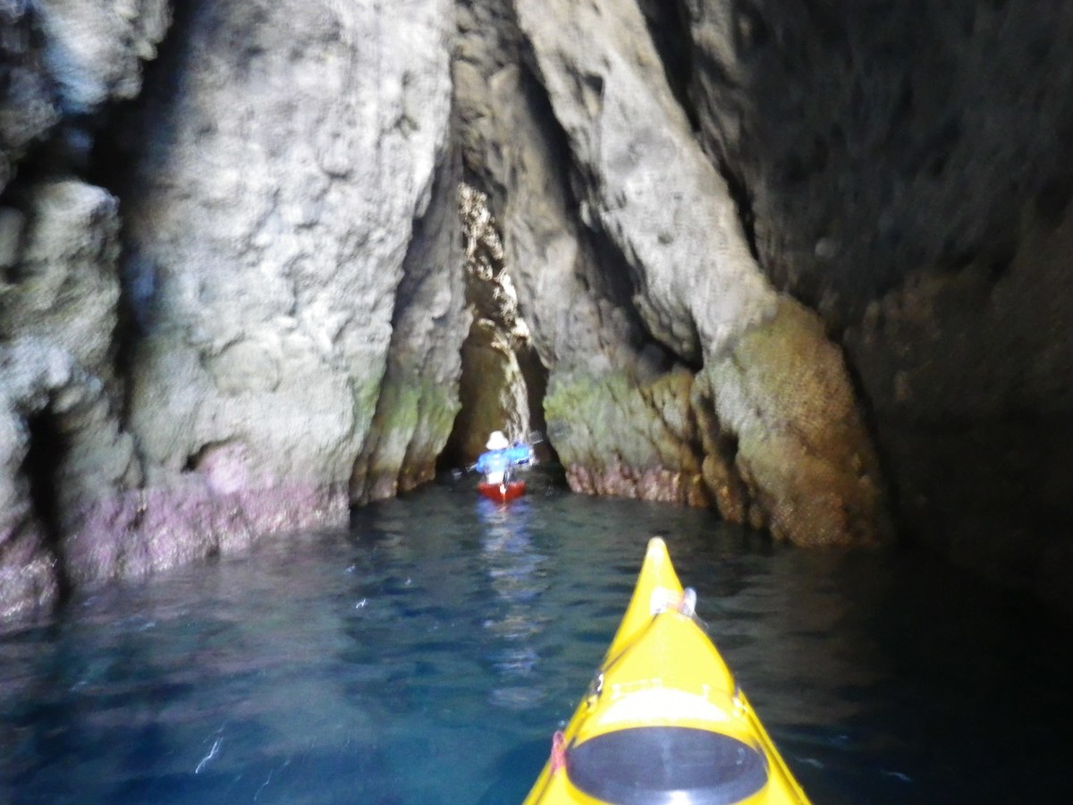 f:id:tamura38:20191110130428j:plain