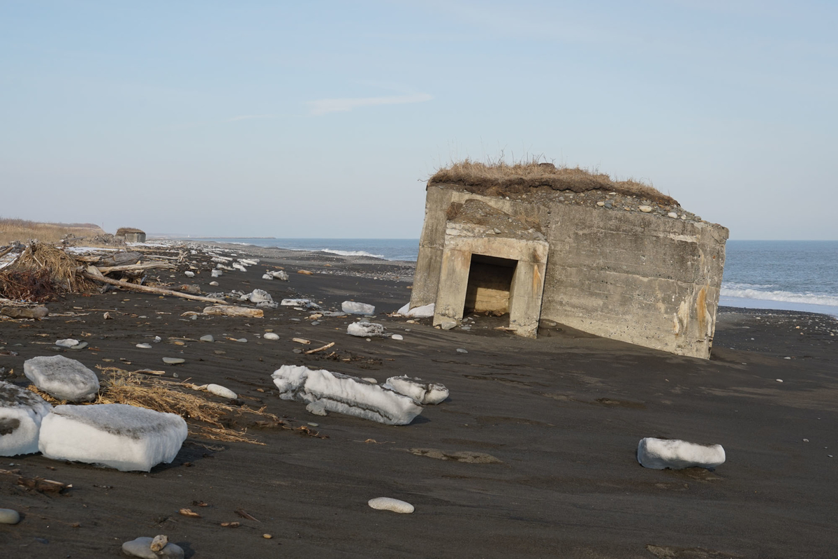 f:id:tamura38:20200123144512j:plain