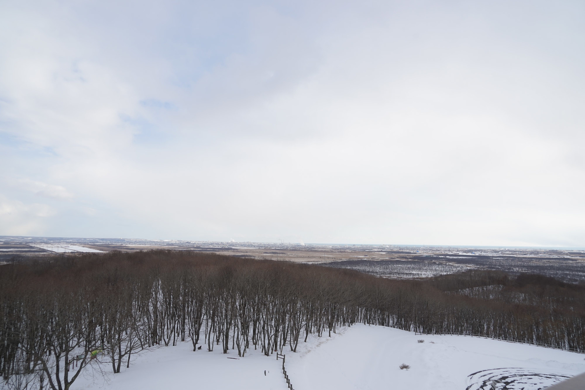 f:id:tamura38:20210224142254j:plain