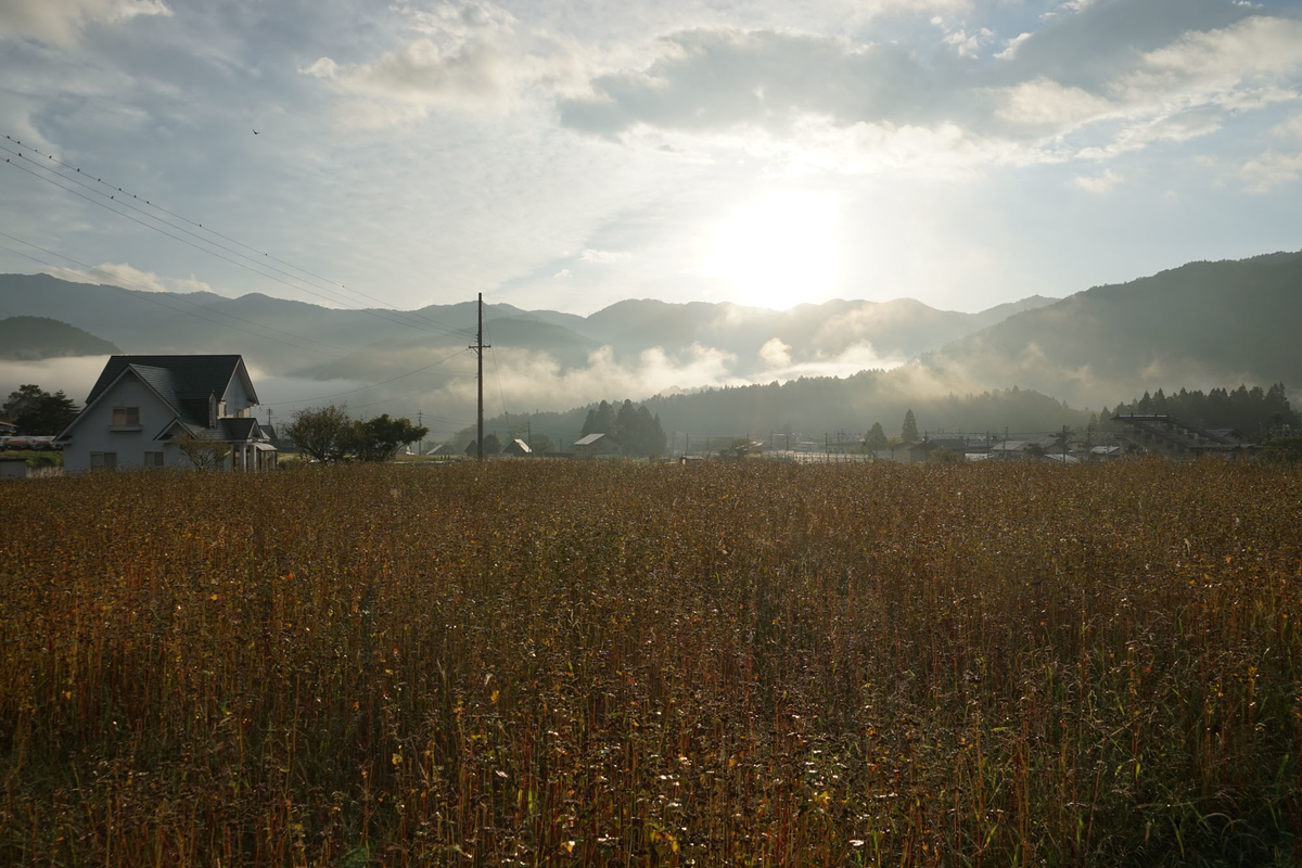 f:id:tamura38:20211008063929j:plain