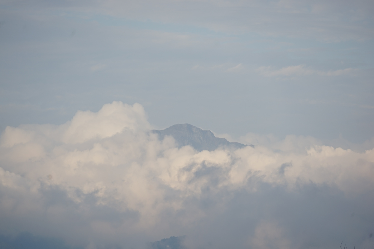 f:id:tamura38:20211008160717j:plain