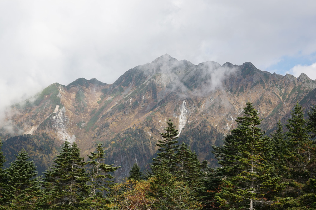 f:id:tamura38:20211009135111j:plain