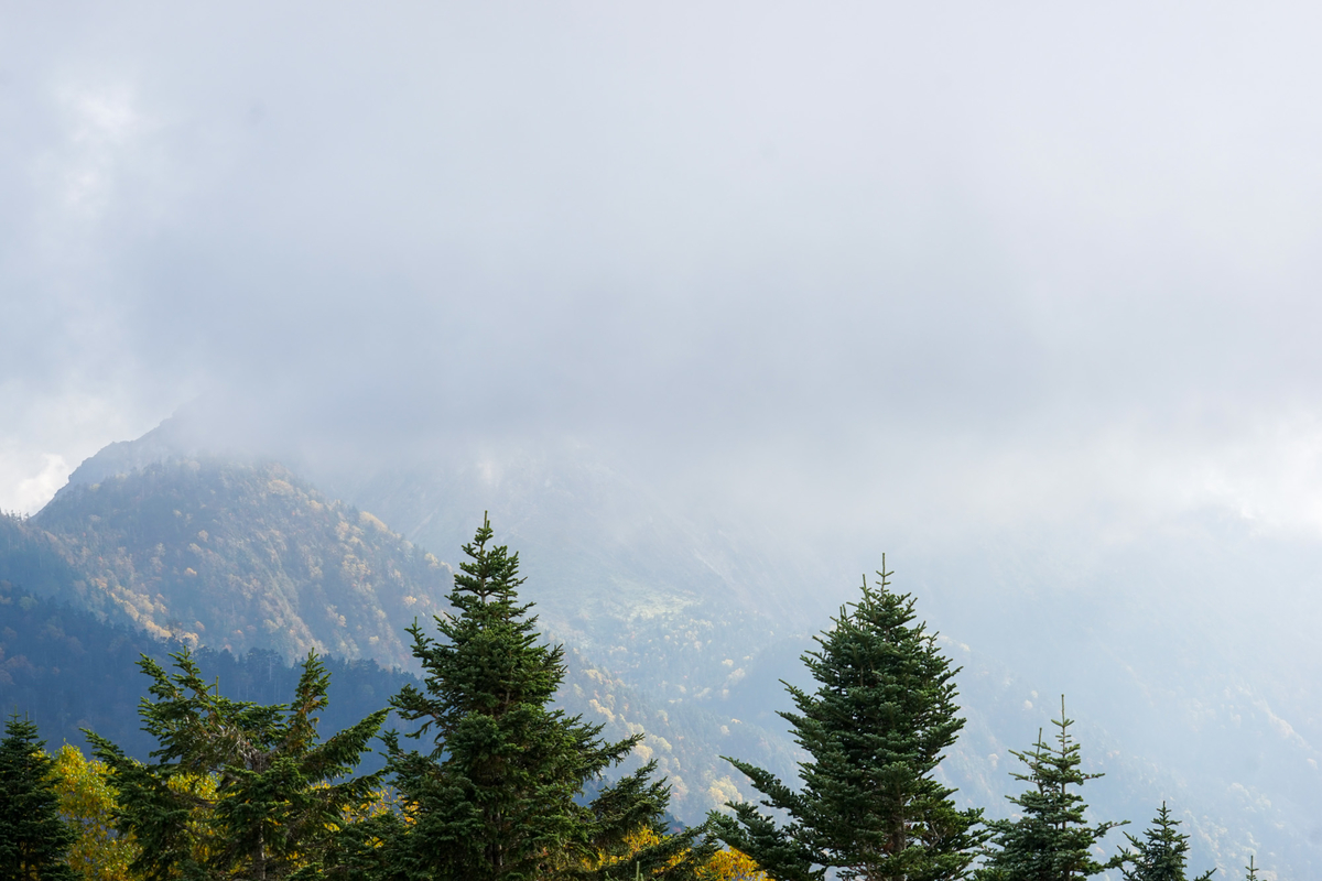 f:id:tamura38:20211009142024j:plain