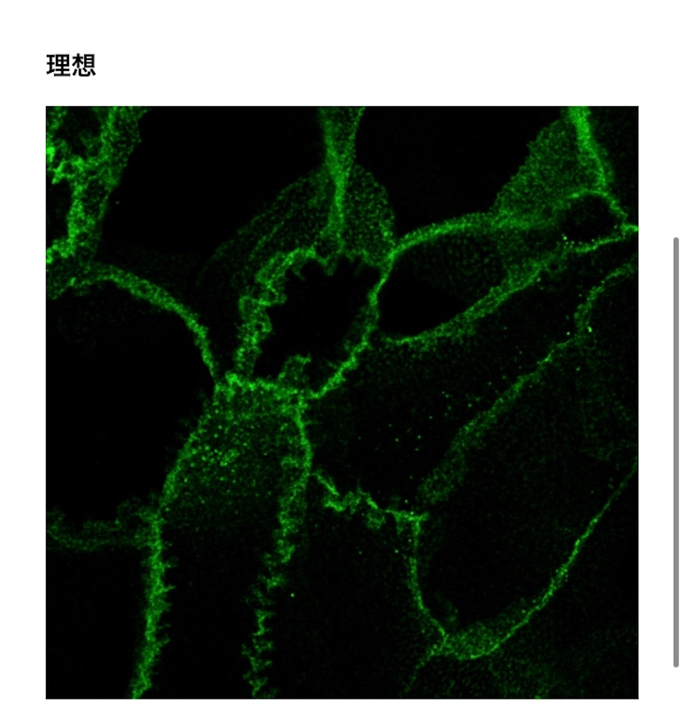 f:id:tamutamu83:20191223082637j:image f:id:tamutamu83:20191223082637j:image