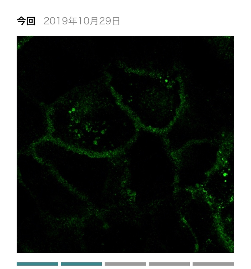 f:id:tamutamu83:20191223082700j:image f:id:tamutamu83:20191223082700j:image
