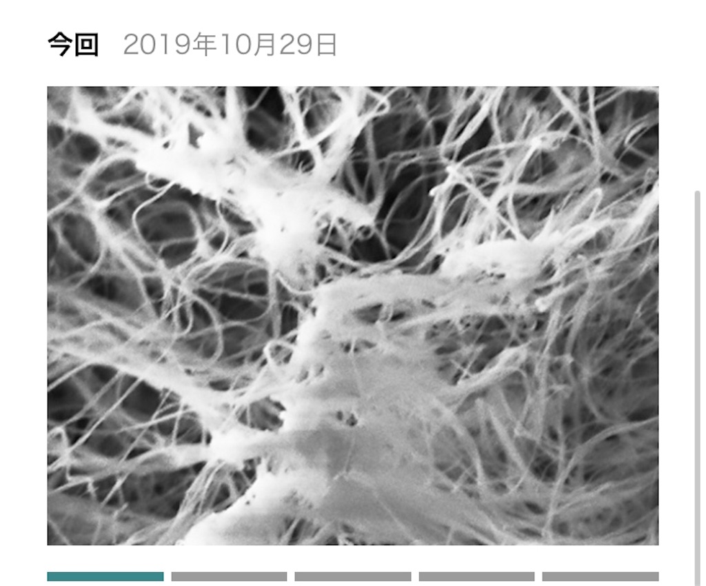f:id:tamutamu83:20191223082857j:image f:id:tamutamu83:20191223082857j:image
