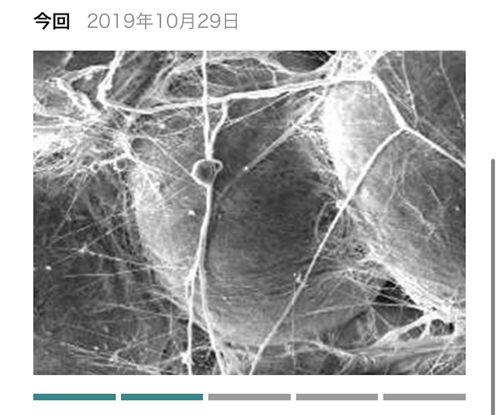 f:id:tamutamu83:20191223083158j:image f:id:tamutamu83:20191223083158j:image