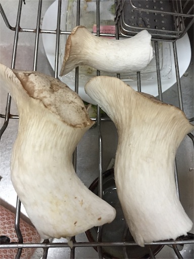 f:id:tamuz:20170102183603j:image