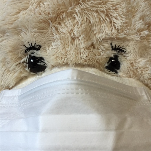 f:id:tamuz:20170116194030j:image