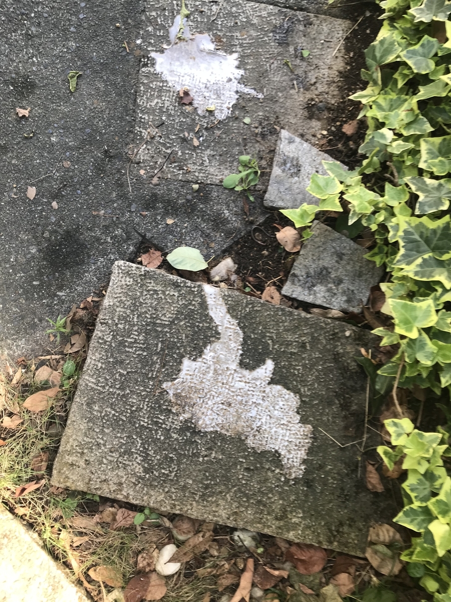 f:id:tamworkroom:20191006144545j:plain f:id:tamworkroom:20191006144545j:plain