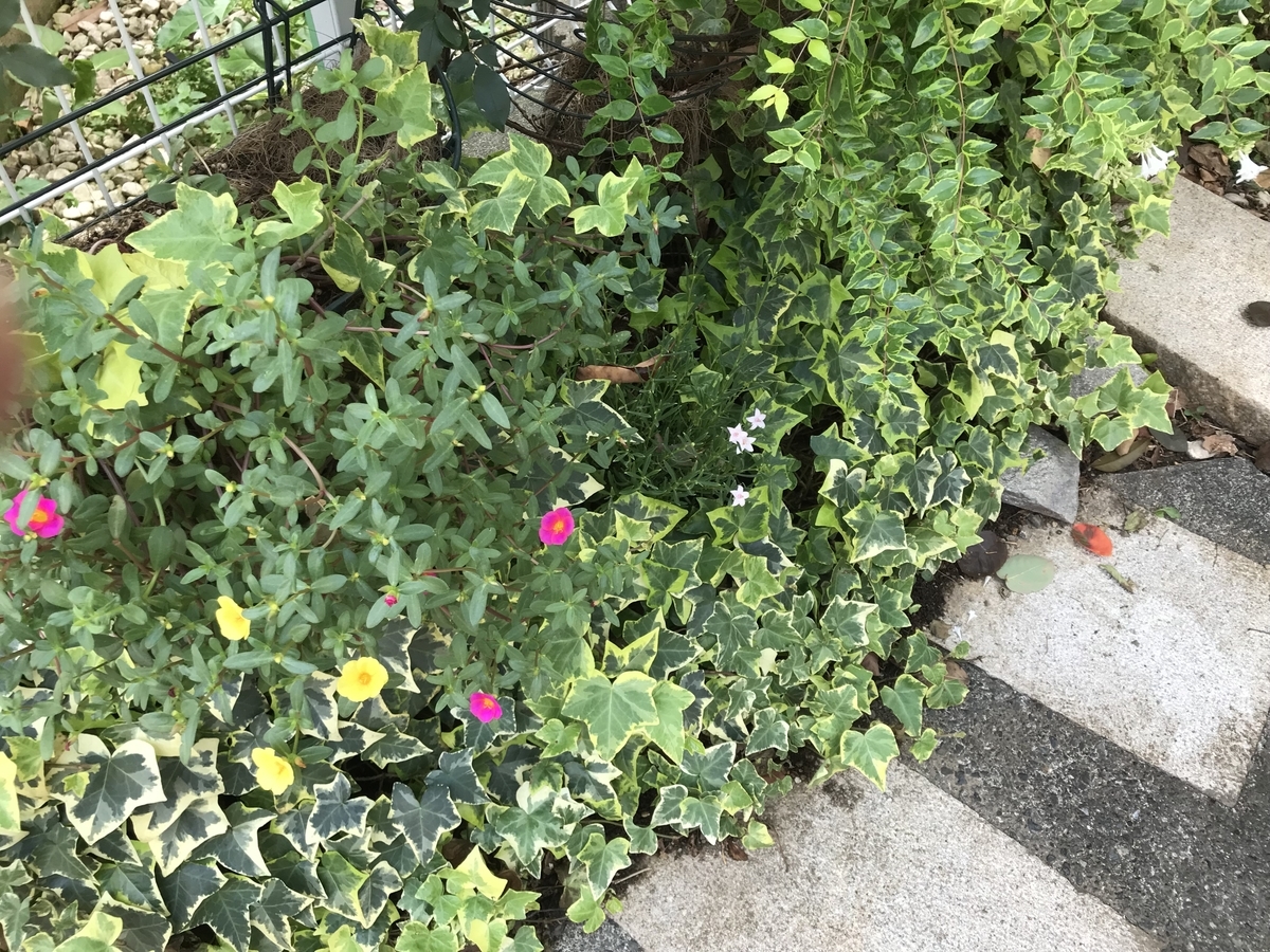 f:id:tamworkroom:20191006151811j:plain f:id:tamworkroom:20191006151811j:plain