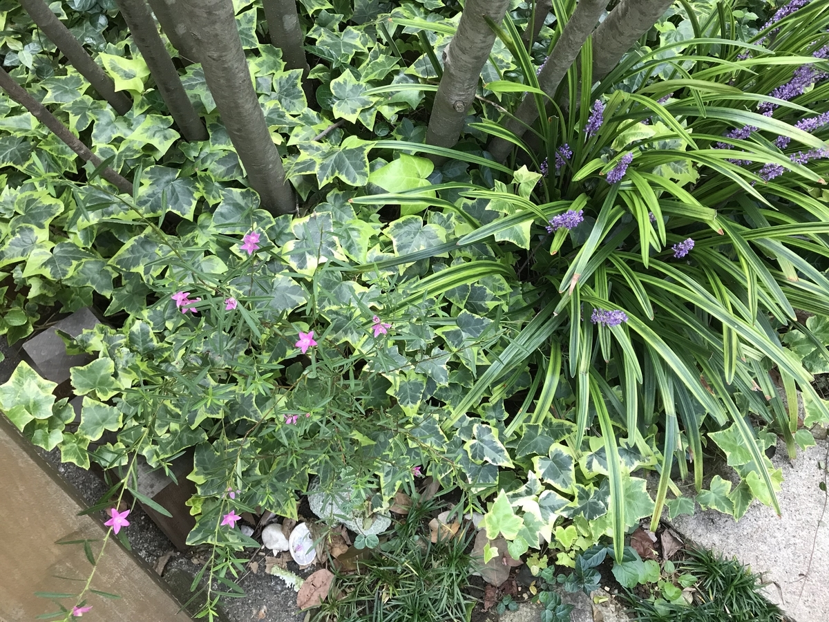 f:id:tamworkroom:20191006151834j:plain f:id:tamworkroom:20191006151834j:plain