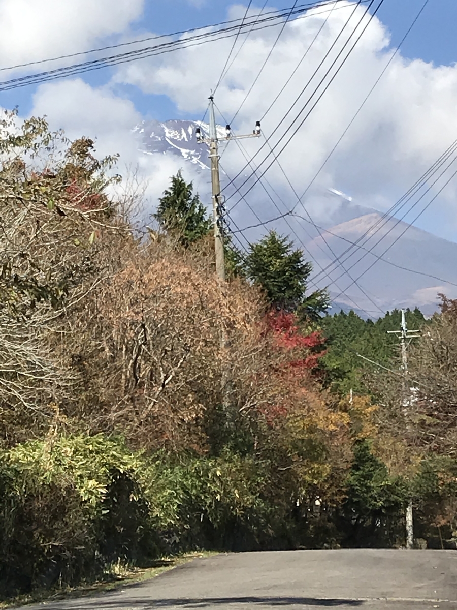 f:id:tamworkroom:20191110121554j:plain