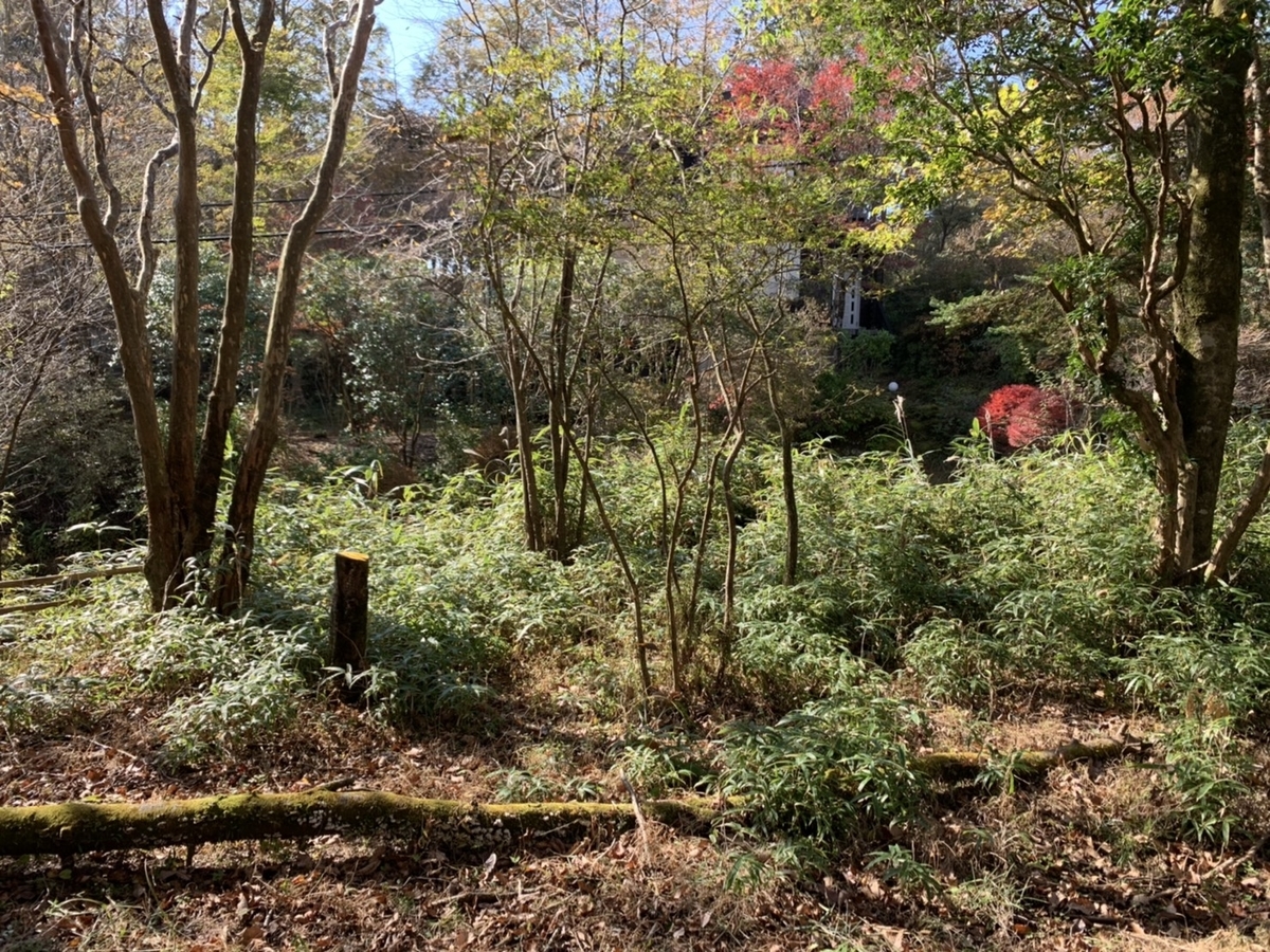 f:id:tamworkroom:20191110122322j:plain