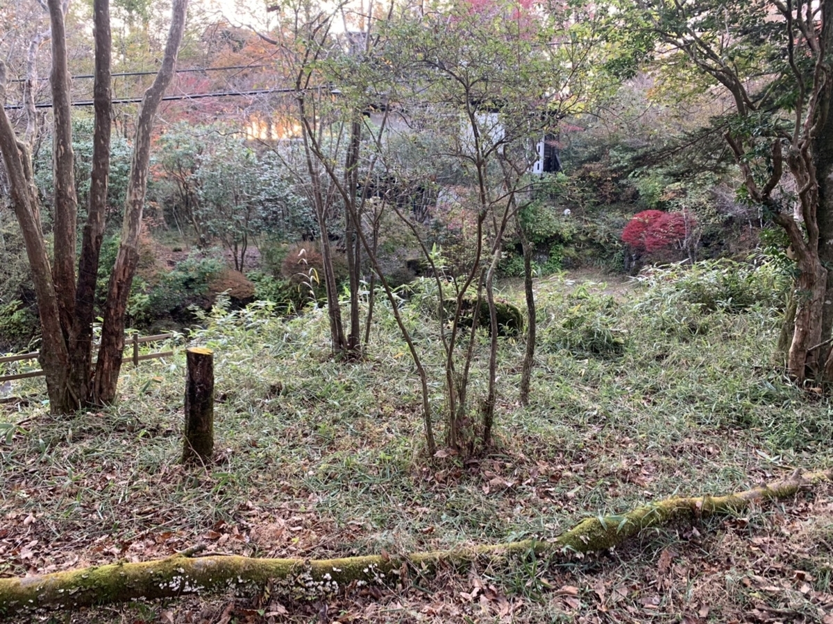 f:id:tamworkroom:20191110122406j:plain