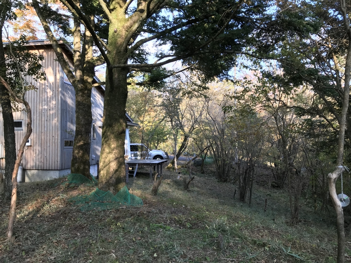 f:id:tamworkroom:20191110122440j:plain