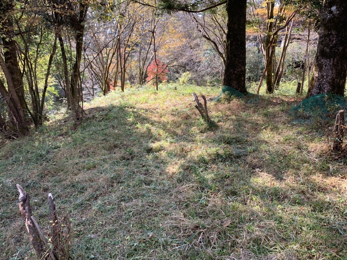 f:id:tamworkroom:20191110122606j:plain