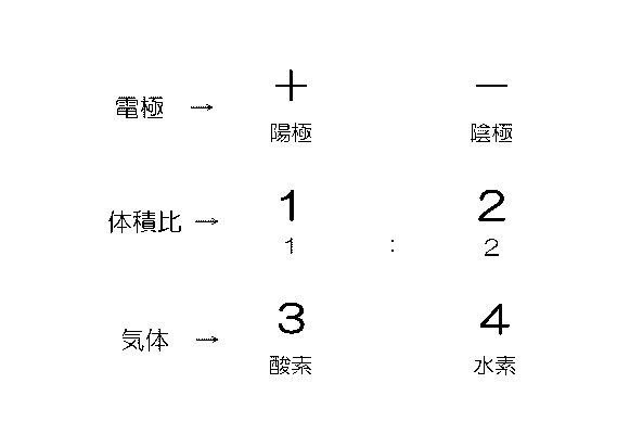 f:id:tamy9507:20210214094917p:plain