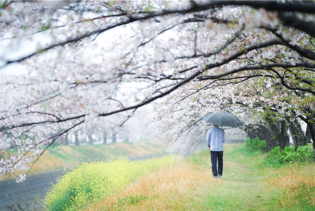 f:id:tan32tan:20210410172723j:image