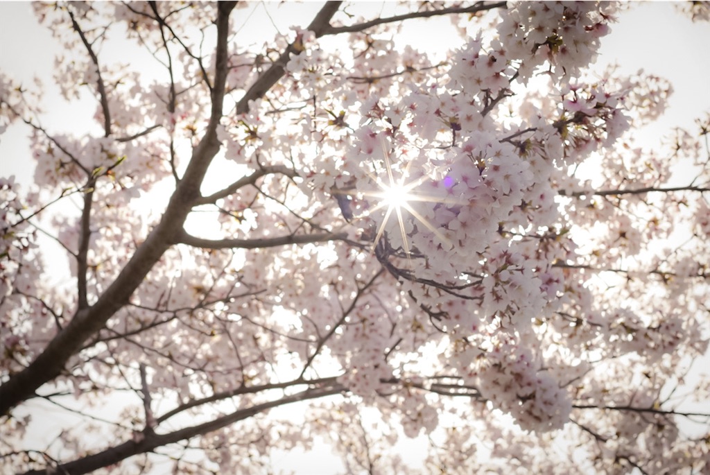 f:id:tan32tan:20210410172740j:image