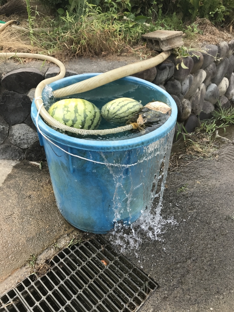 f:id:tan_sokuo:20180919043223j:plain f:id:tan_sokuo:20180919043223j:plain