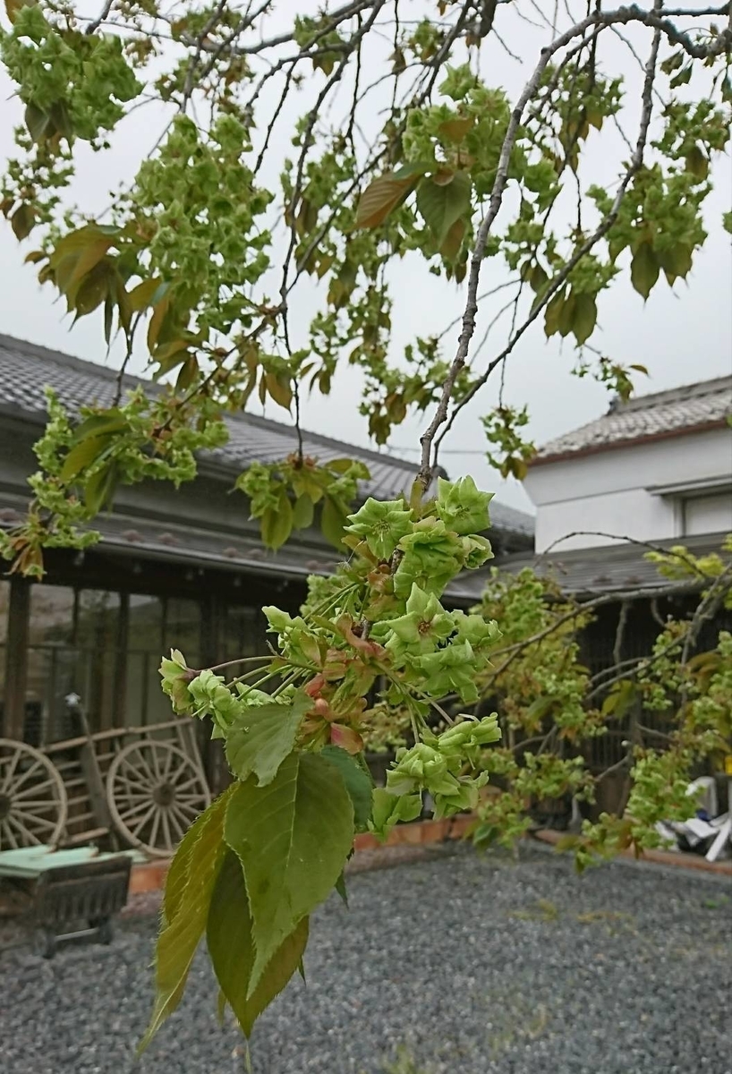 f:id:tanabetan:20190510004052j:plain f:id:tanabetan:20190510004052j:plain