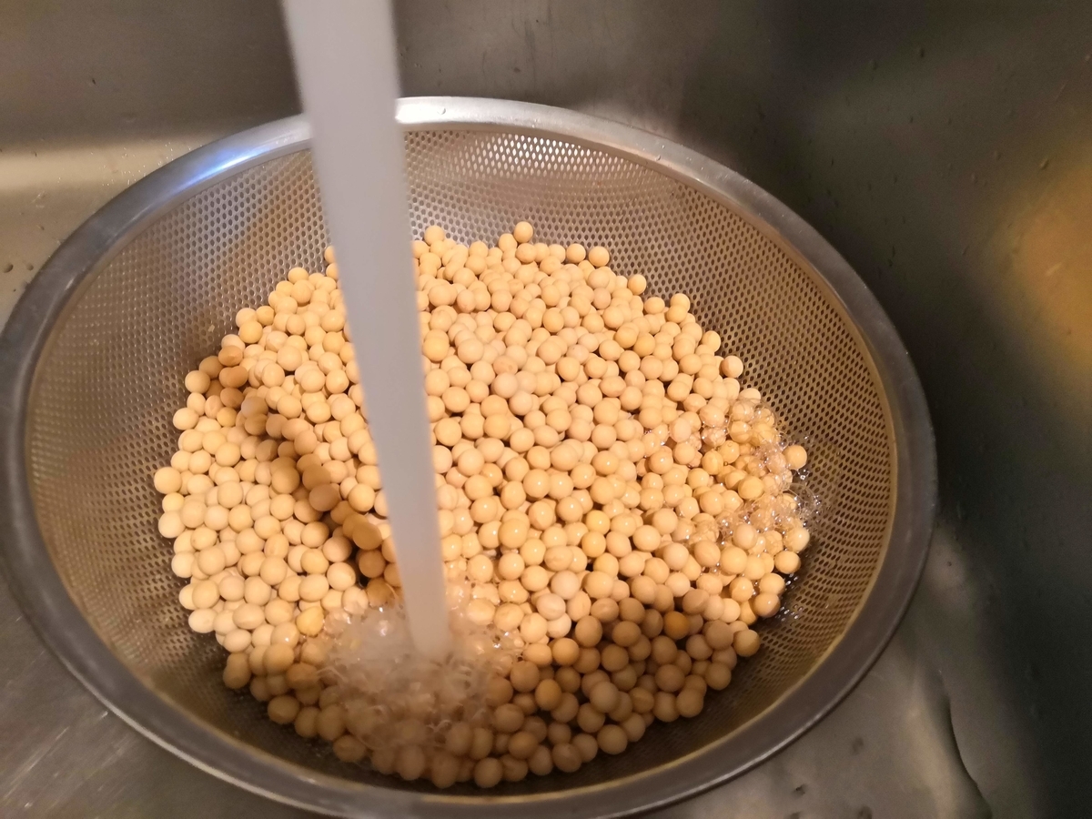 f:id:tanaboo:20200507215316j:plain