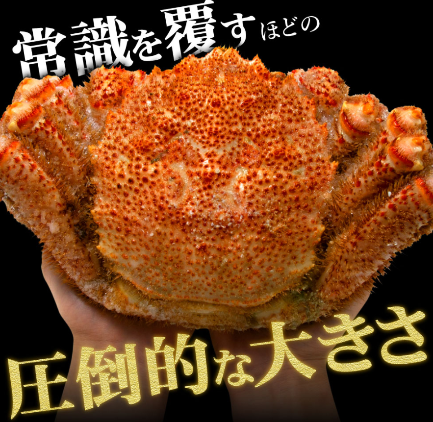 f:id:tanaboo:20201119150123p:plain