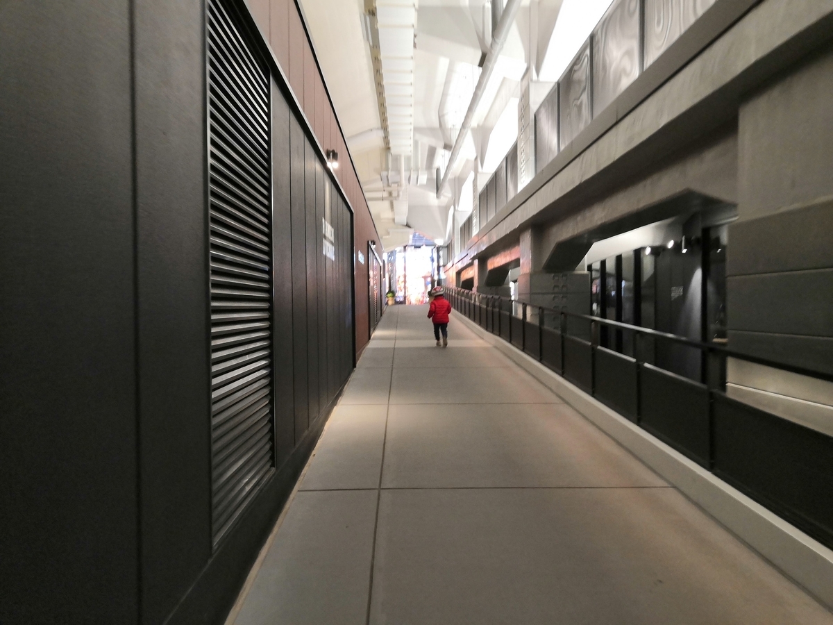 f:id:tanaboo:20210102122532j:plain