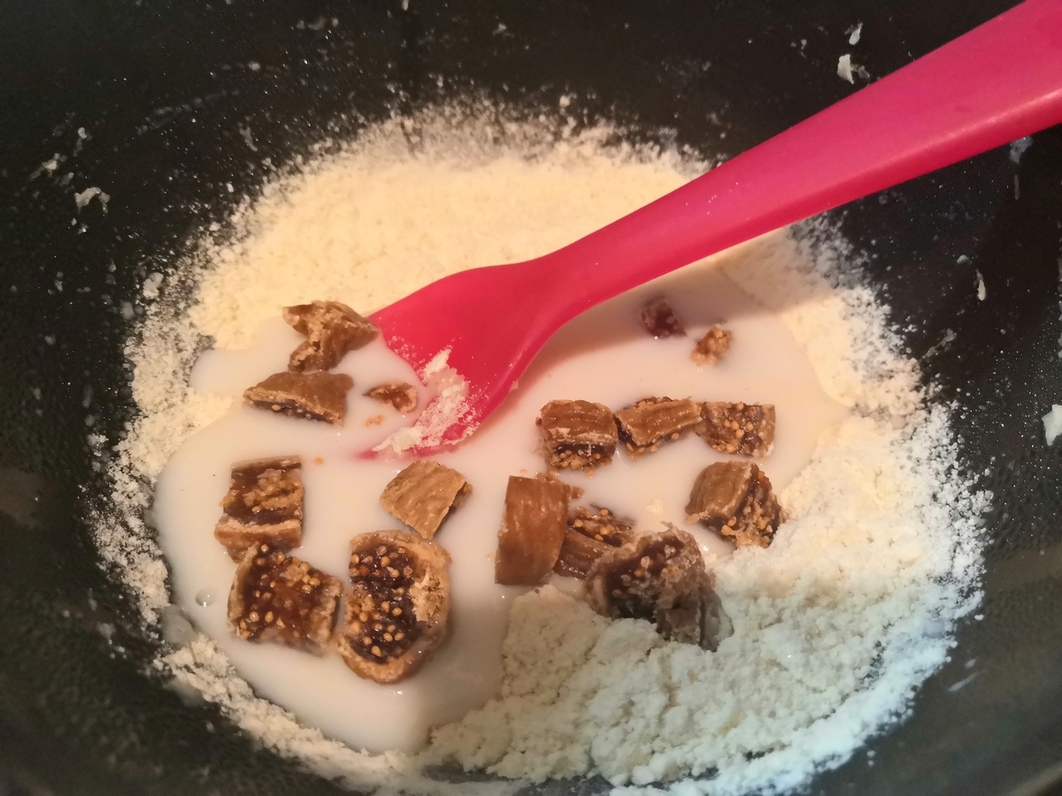 f:id:tanaboo:20210228085359j:plain