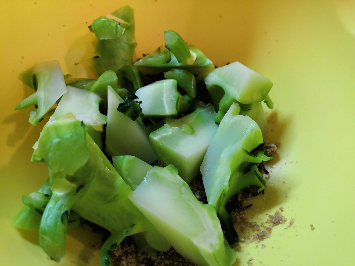 f:id:tanaboo:20210314181339j:plain