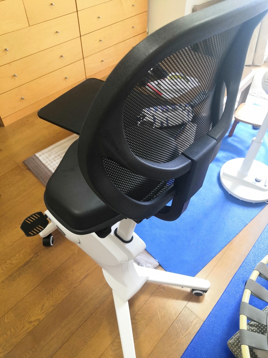 FLEXISPOT背もたれ付きエアロバイクSit2Go FC211レビュー