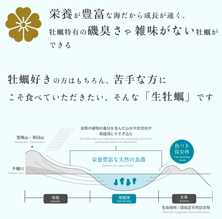 f:id:tanaboo:20211213164443p:plain