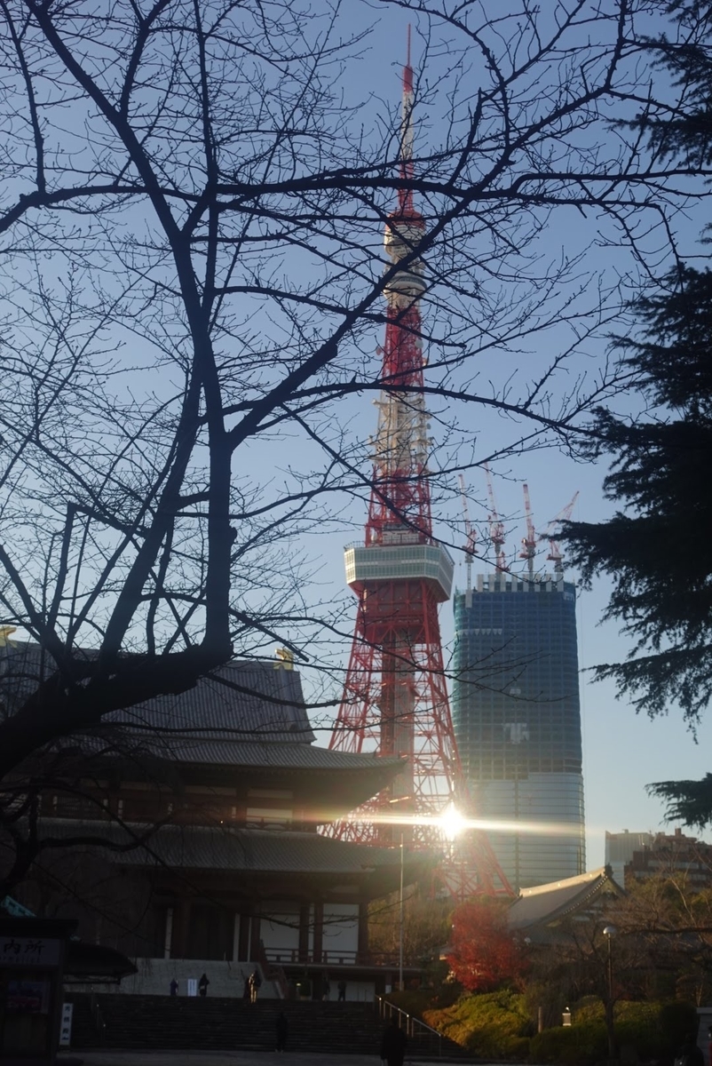 f:id:tanaboo:20211220153407j:plain