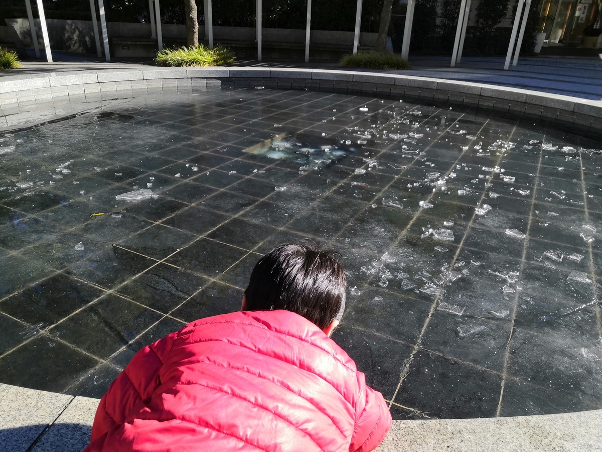 f:id:tanaboo:20220101134327j:plain