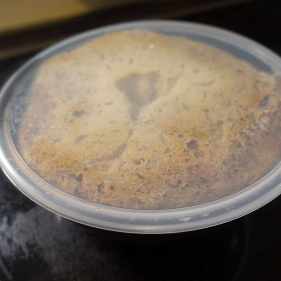 f:id:tanaboo:20220128175425j:plain