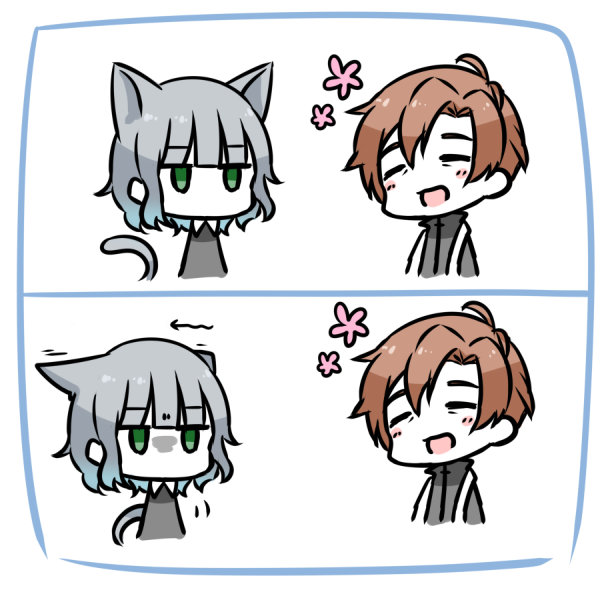 懐かない猫
