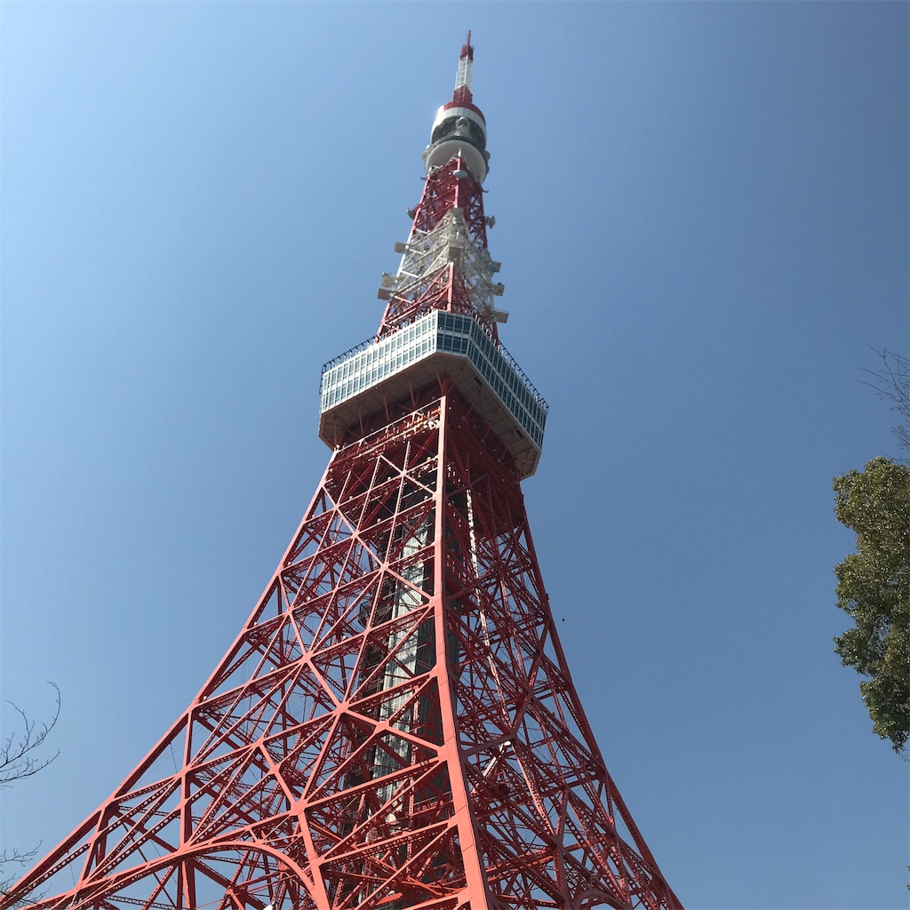 f:id:tanagokoro555:20200319205838j:image