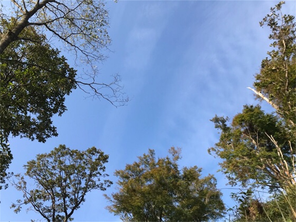 f:id:tanahication888:20181023230939j:plain f:id:tanahication888:20181023230939j:plain