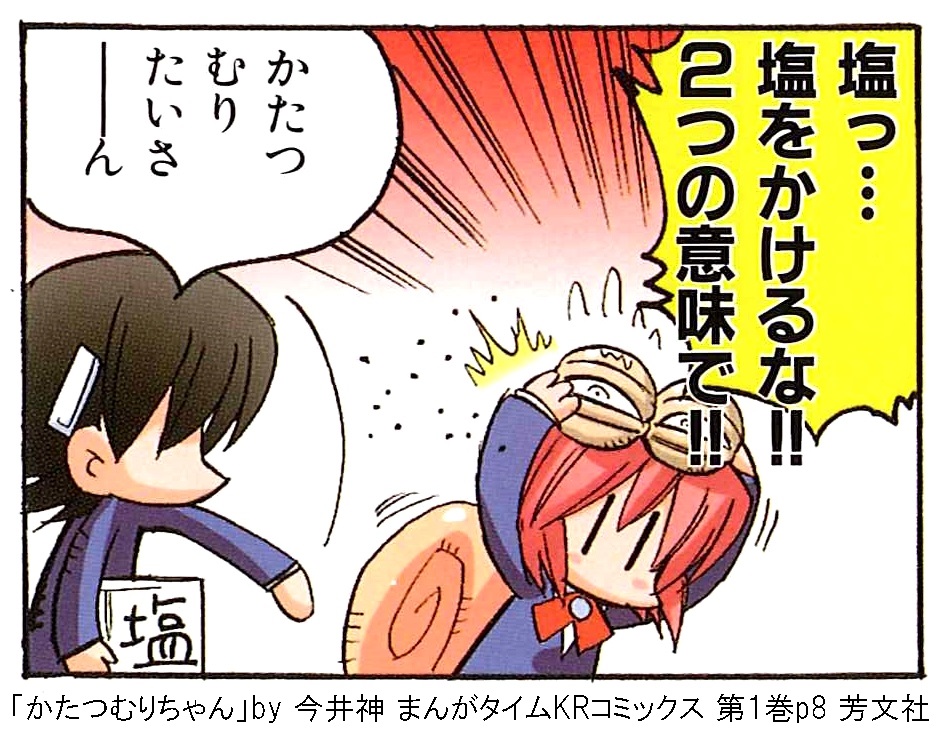 塩で溶ける といいますけど やったことあります ヒトコマラクダの日記