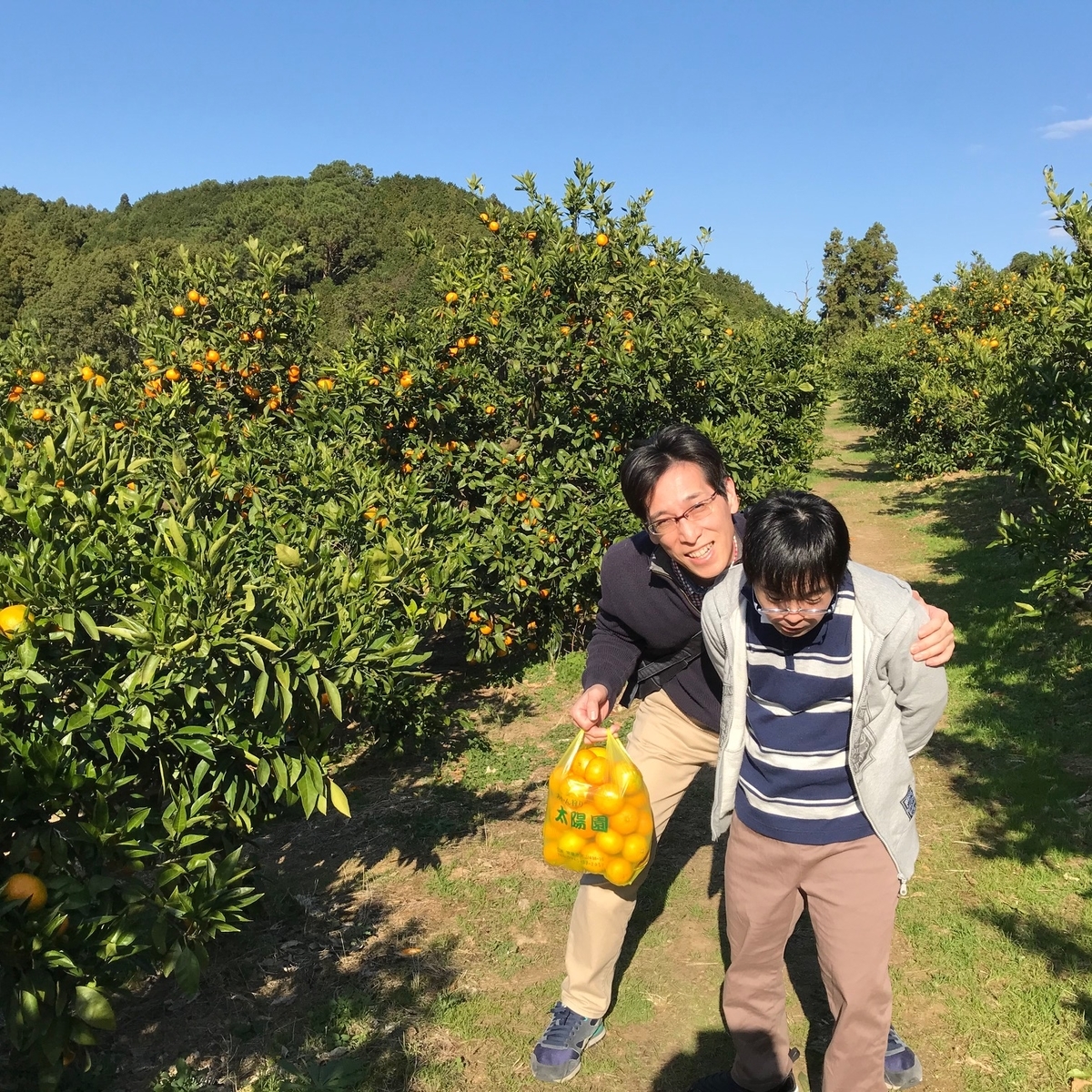 宗像　太陽園　みかん狩り