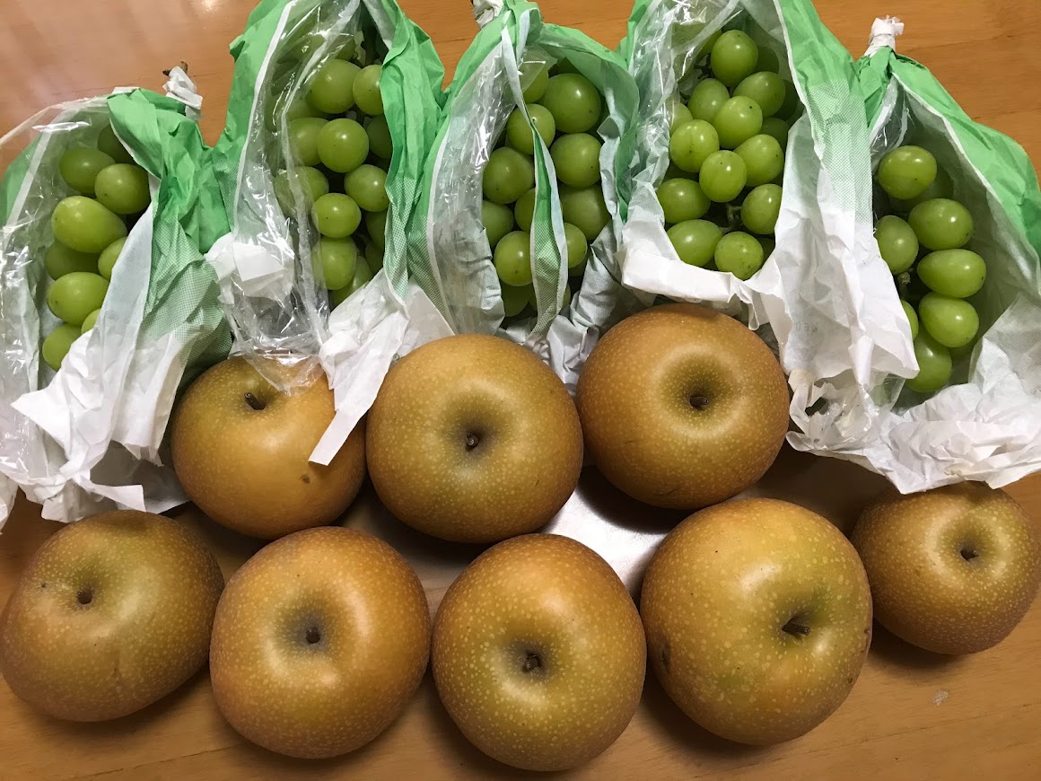 なし シャインマスカット