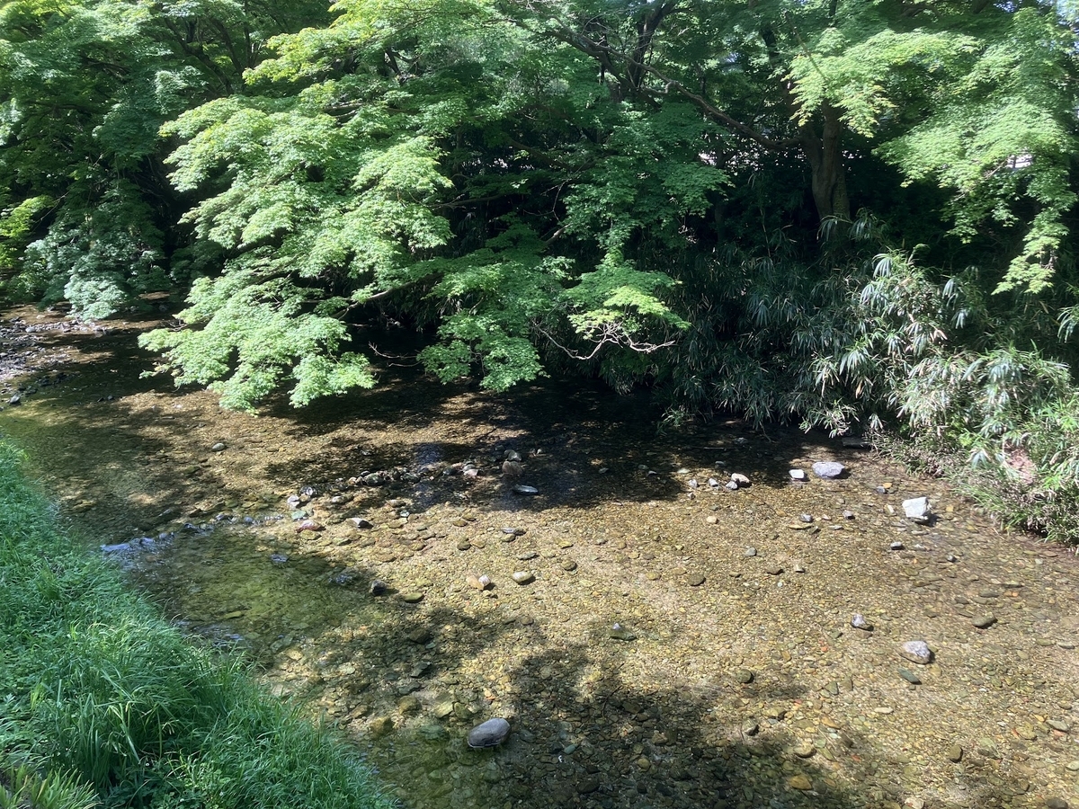 久山町　猪野川