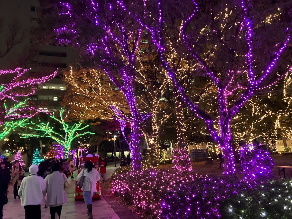 天神中央公園　光のフォレスト