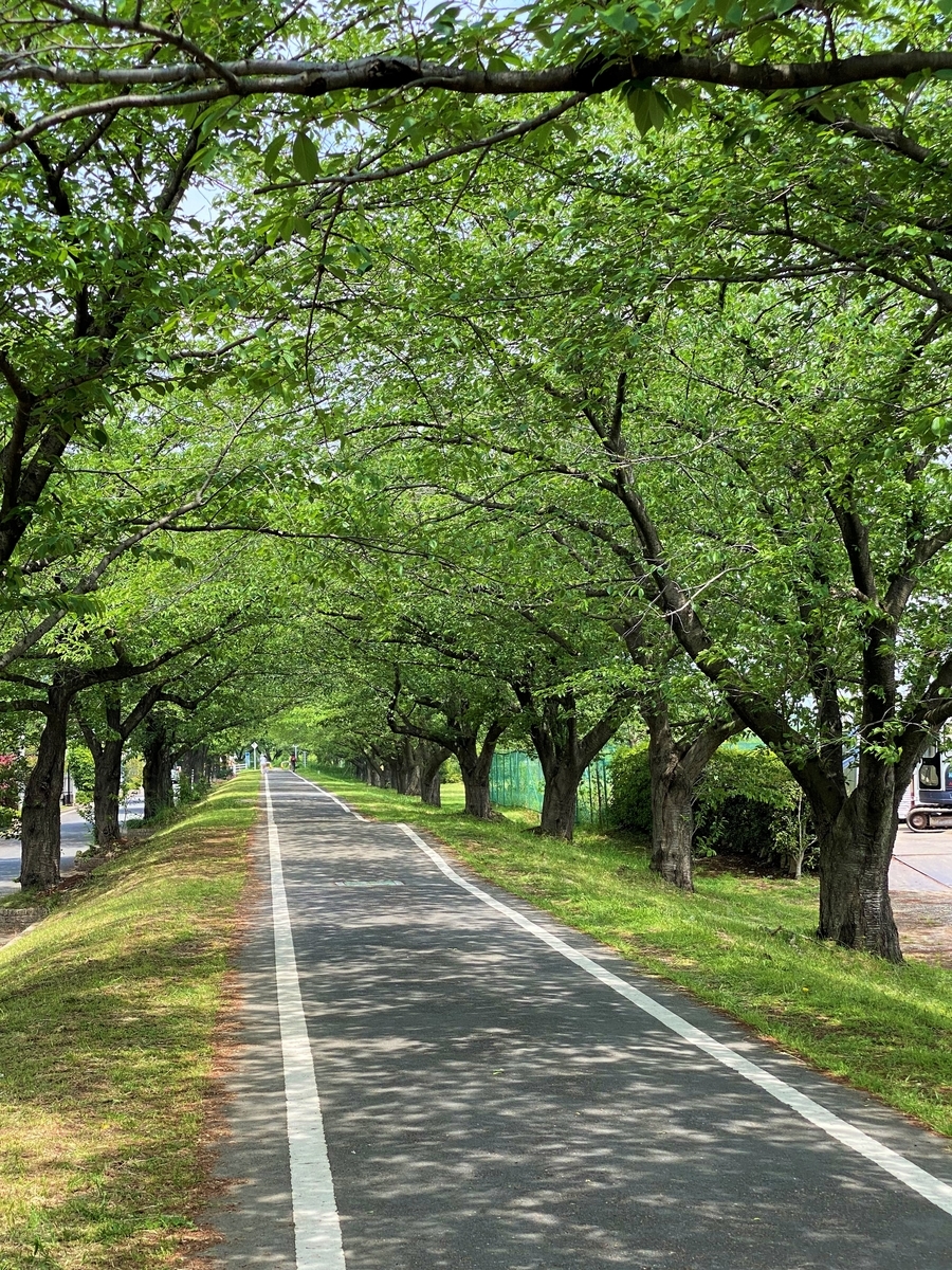 f:id:tanaka-sr:20200503211815j:plain f:id:tanaka-sr:20200503211815j:plain