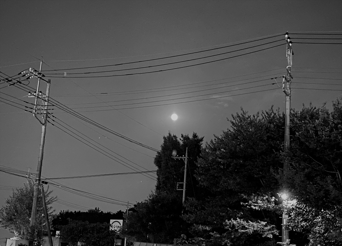 f:id:tanaka-sr:20201003144216j:plain f:id:tanaka-sr:20201003144216j:plain